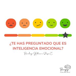 "Inteligencia Emocional" como la capacidad que tenemos las personas de sentir, entender, controlar y modificar los estados emocionales tanto nuestros, como los de los demás.